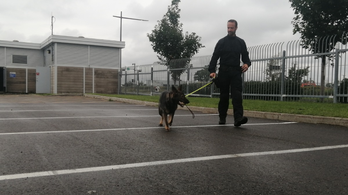 Un policier avec le chien Marine, qui transporte un jouet dans sa bouche