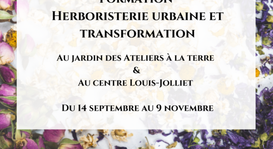 Série de formations : Herboristerie urbaine et transformation