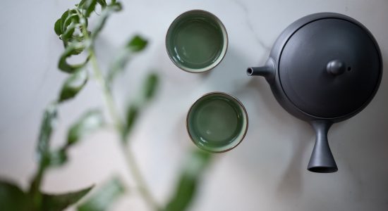 Nouveaux arrivages | Camellia Sinensis Maison de thé